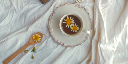 Herbal Remedies to Support Your Child’s Immune System Before School Starts