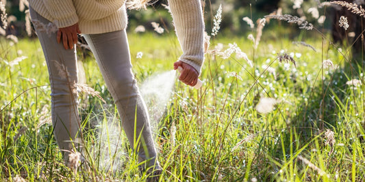 Nontoxic Bug Repellents for Late Summer Evenings