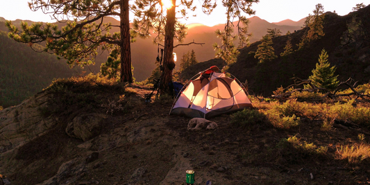 Our Herbal First Aid Kit for Camping, Hiking, and Backyard Adventures