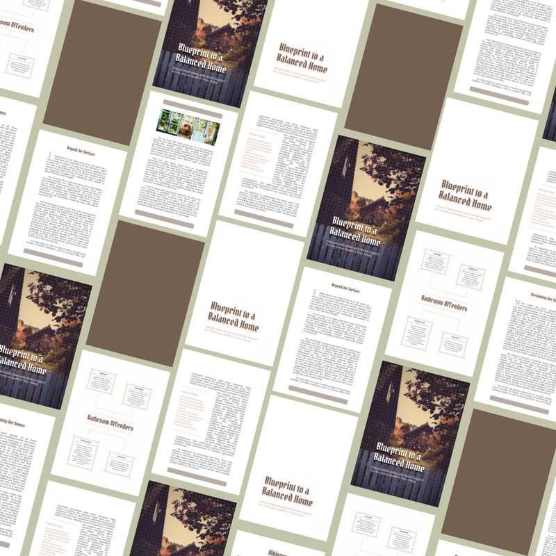 Back to Balance Bundle: 3 Holistic Wellness Guides to Reset Your Body, Home & Rhythm