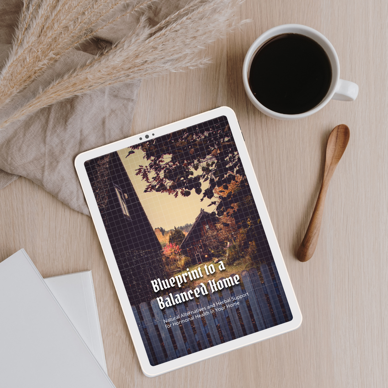 Back to Balance Bundle: 3 Holistic Wellness Guides to Reset Your Body, Home & Rhythm