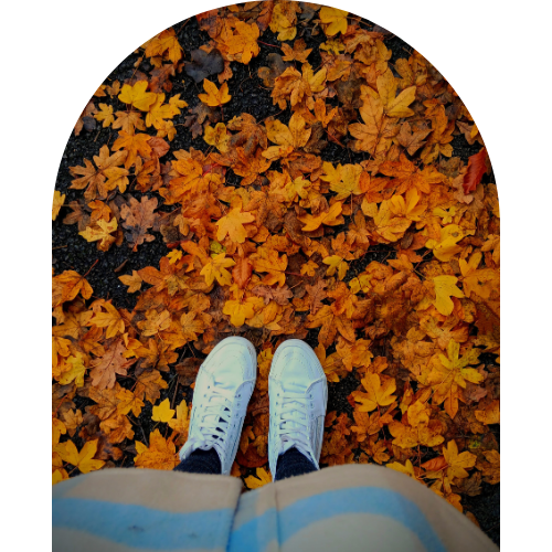 Image with text section