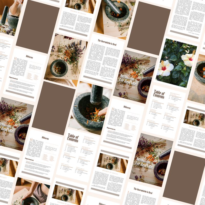 Herbalism for Real Life: A Practical Guide to 7 Essential Herbs for Busy Parents & Beginners